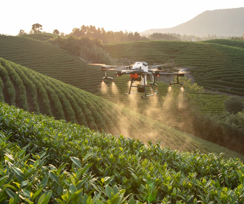 Uplift Services - Leading software development company in Zambia specializing in custom software solutions